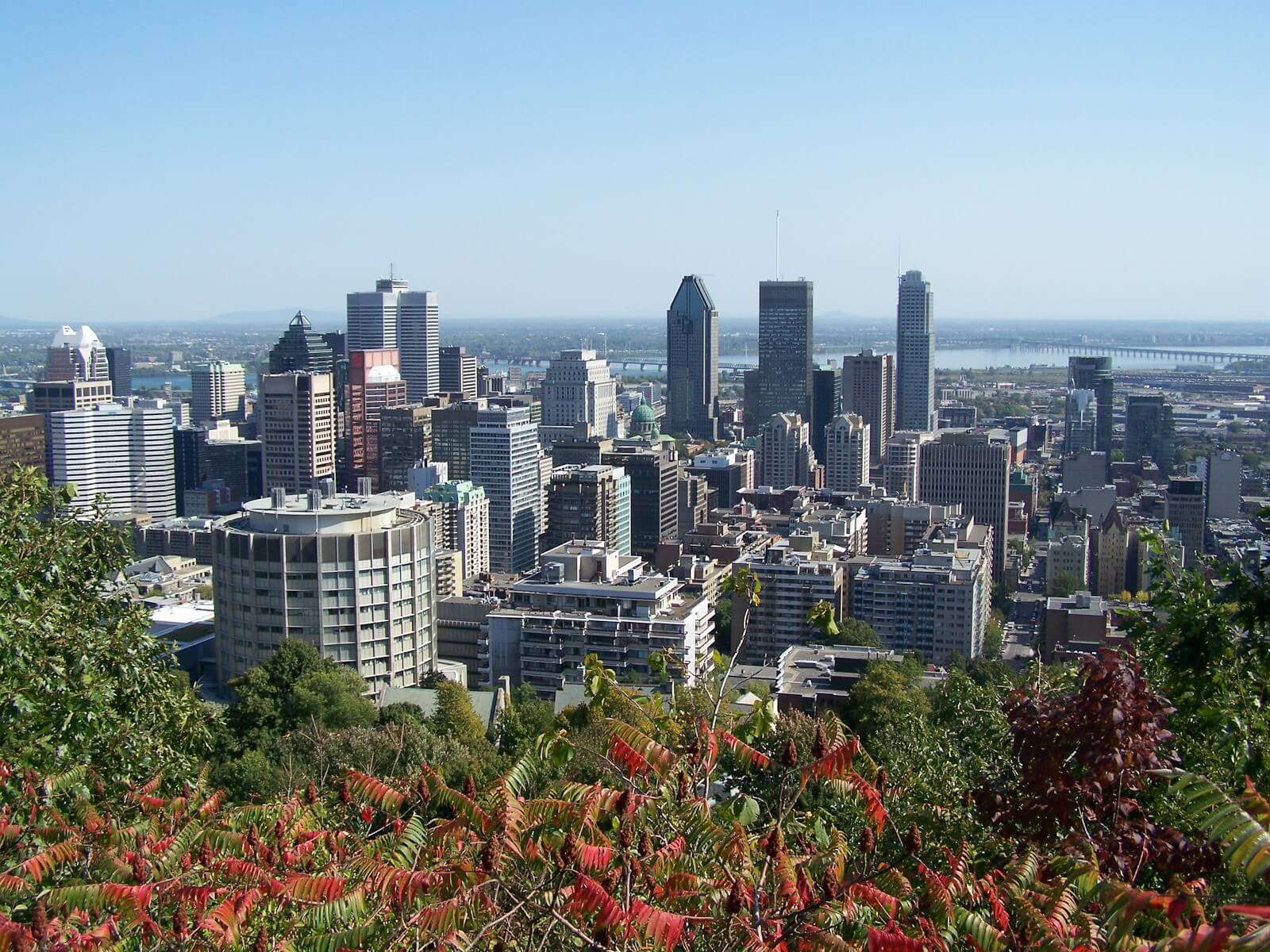 City de Montréal depuis le Mont Royal